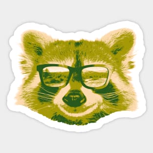 Camping Raccool with glasses Sticker